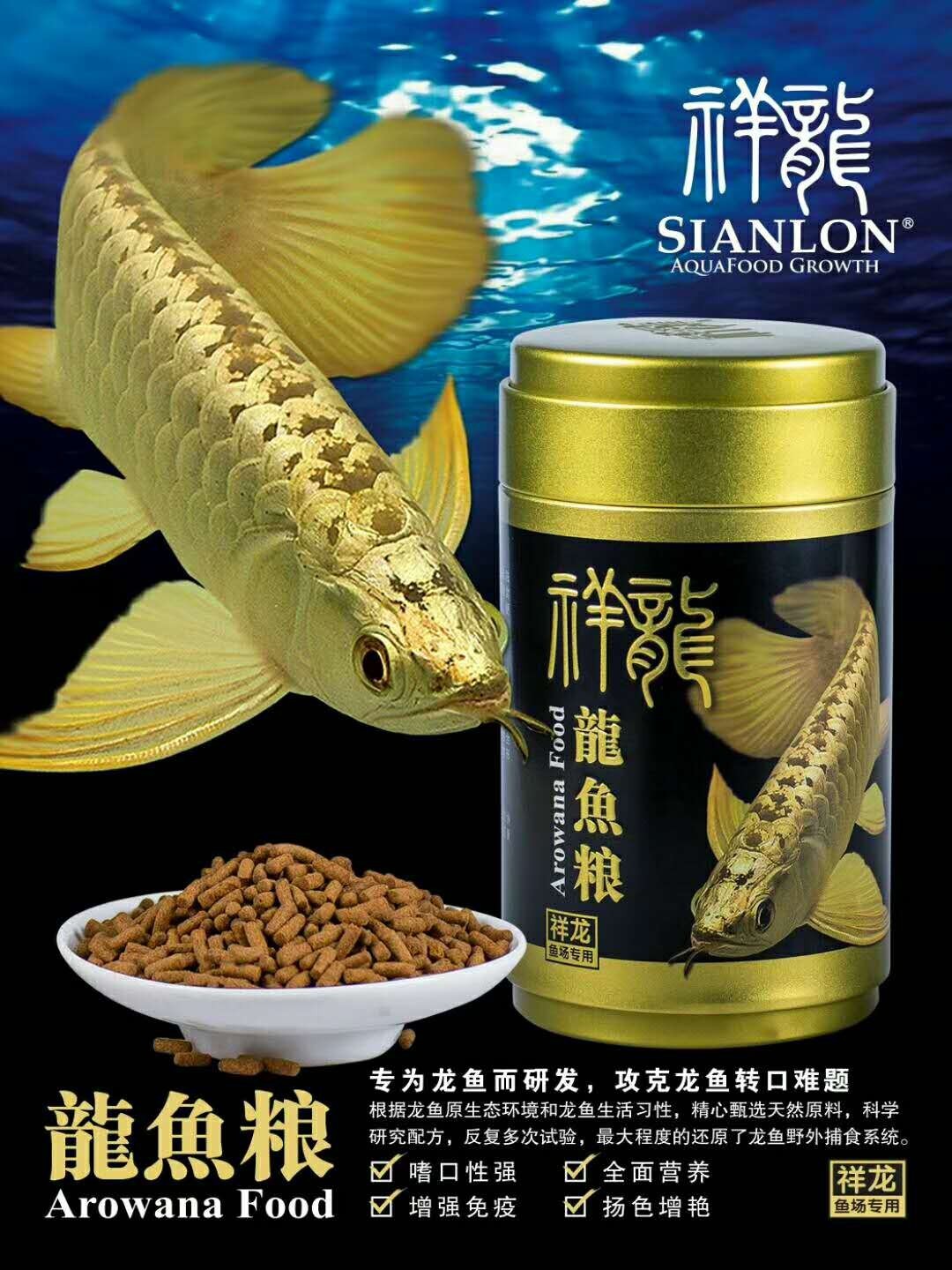 Rompin Golden dragon fish food