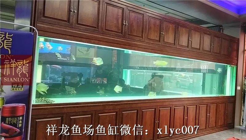 Rompin Large aquarium customized 6M